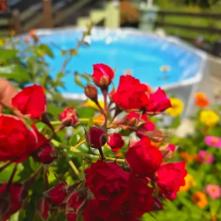 Srebrna Dolina * Kremna