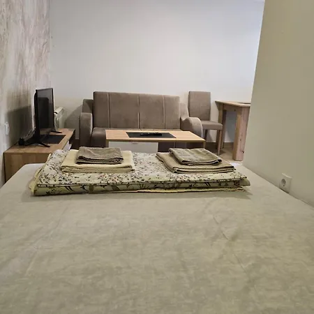 Srebrna Dolina アパート Kremna